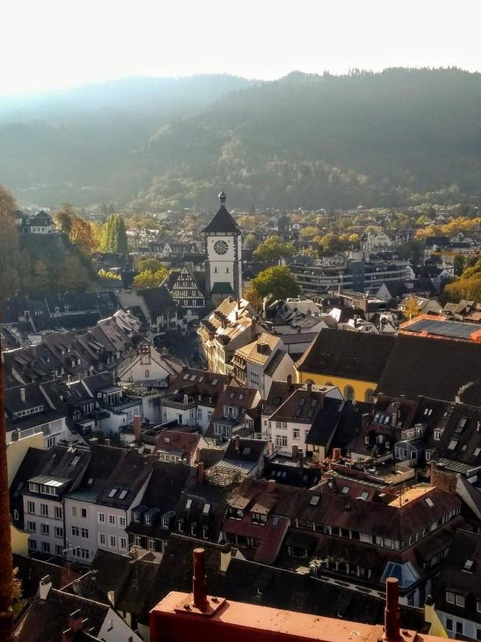 Studio Rome In Der Altstadt Apartman Freiburg im Breisgau Kültér fotó