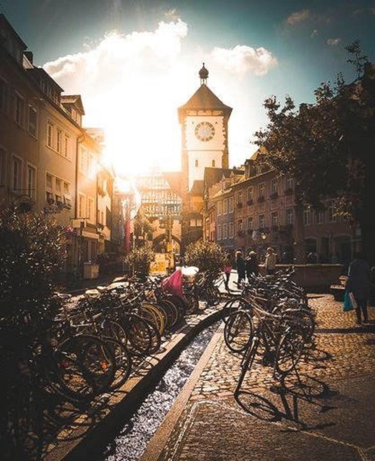 Studio Rome In Der Altstadt Apartman Freiburg im Breisgau Kültér fotó